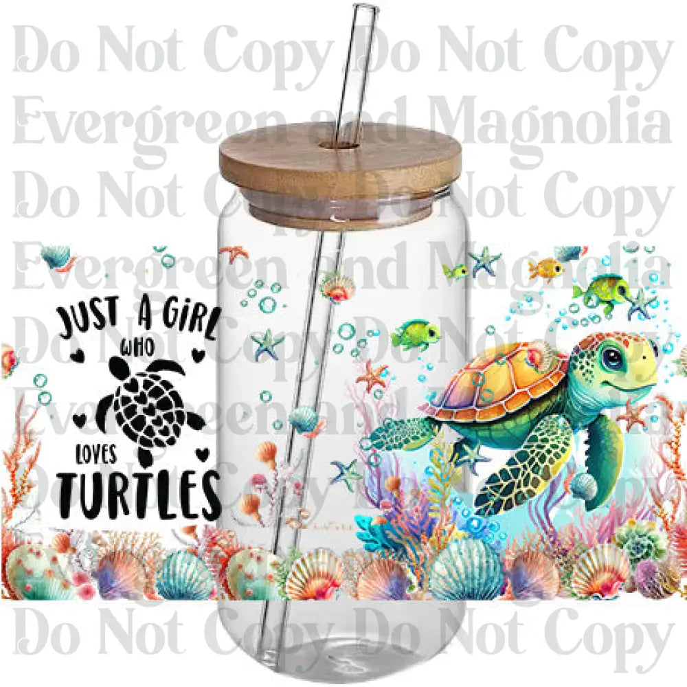 Turtle 17