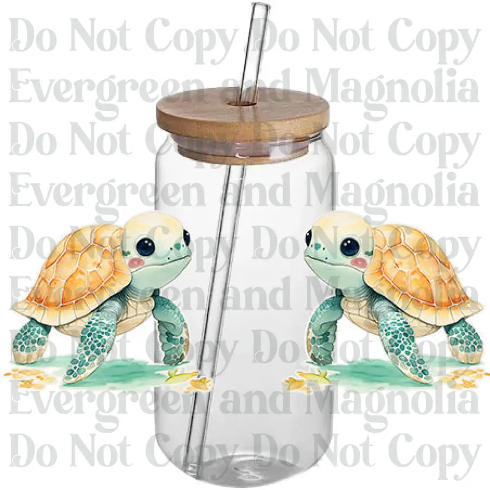 Turtle 9