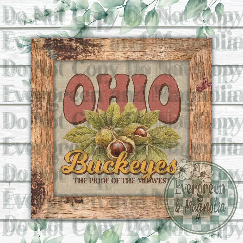 Ohio buckeyes